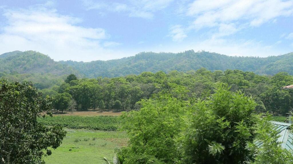 Hill Green Home Stay Thekkady Exterior foto